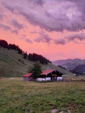 kl-IMG-20220622-WA0029