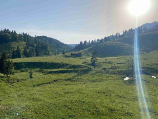 kl-IMG-20220623-WA0002