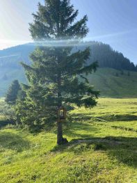 kl-IMG-20220623-WA0003