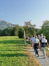 6e8f87ae-26ea-4009-9133-1ffa4eae48cf