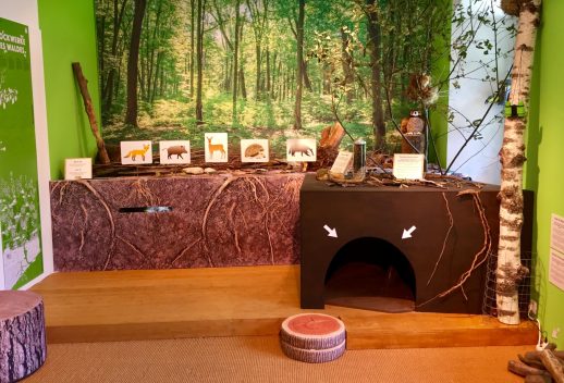 Ausstellung holztechnisches Museum (1)