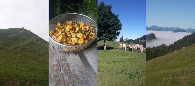 Geigelstein (1)_nebeneinander