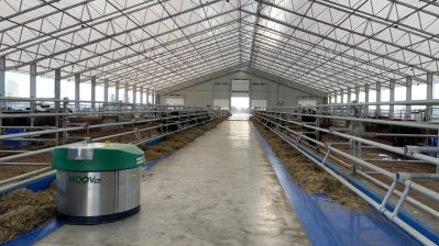 HF-6-2≈16-ein Stall in der neuen 30 Millionen Farm-IMG_5888