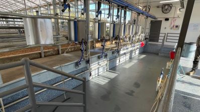 HF-6-2≈18-ein Stall in der neuen 30 Millionen Farm-IMG_5889