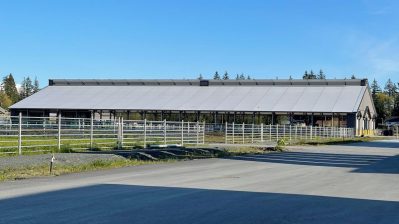 HF-6-2≈26-ein Stall in der neuen 30 Millionen Farm-IMG_5896