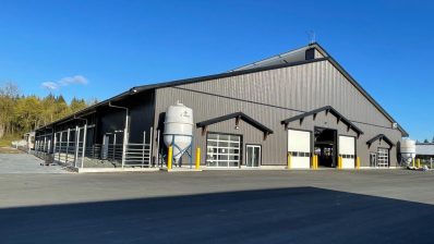 HF-6-2≈28-ein Stall in der neuen 30 Millionen Farm-IMG_5899