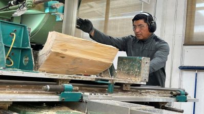 HF-6-3≈16-aufsaegen der Hoelzer-IMG_5839