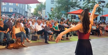 Klassik am Salzstadel (16)