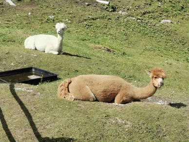 Mountainbike Tour Weinberghaus (1)