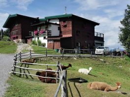 Mountainbike Tour Weinberghaus (2)