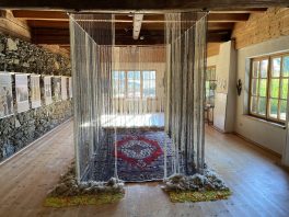 Rauminstallation_Kaltner_2022