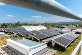 Salus Dach Neubau mit Grün