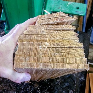 Seeon-Schindeln-20210401_110604_1