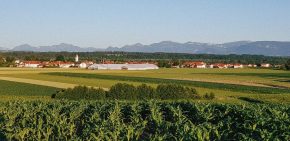 Trachtensommer Hochstaett 2022 (3)