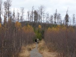Nationalpark Bayerischer Wald