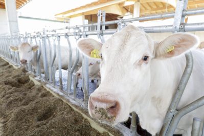 Bayerischer Tierwohlpreis
