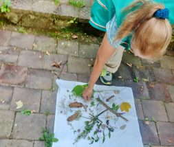 20220811_194417_resized