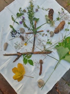 20220811_195215_resized