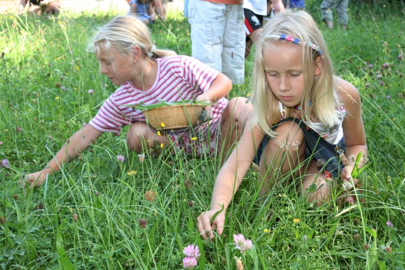 BHM_Kräuterseife herstellen_001