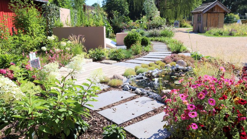 Blick in den Wachsenden Garten 1