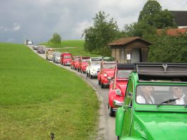 Enten von Steinkirchen runter