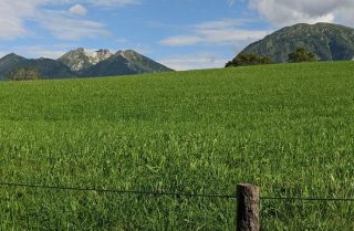 Salzburger Sonnenterrasse Goldegg