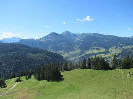 Salzburger Sonnenterrasse Goldegg