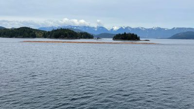 HF-7-1≈08-Holzfloß Transport Staemme von Vancouver Island zum Festland-IMG_6016