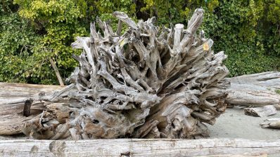 HF-7-1≈10-xxx-IMG_6026