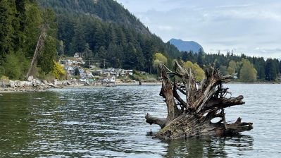 HF-7-1≈12-xxx-IMG_6028