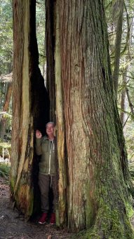 HF-7-2≈12-im Regenwald-SunshineCoast+Vancouver-IMG_6125