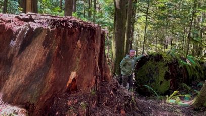 HF-7-2≈18-im Regenwald-SunshineCoast+Vancouver-IMG_6151