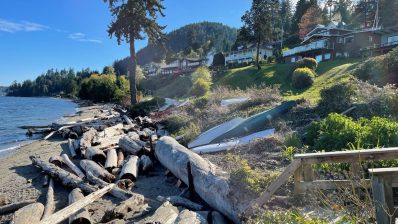 HF-7-2≈36-im Regenwald-SunshineCoast+Vancouver-IMG_6515