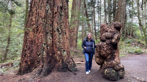 HF-7-2≈44-im Regenwald-SunshineCoast+Vancouver-IMG_6575