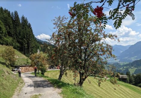 Salzburger Sonnenterrasse Goldegg