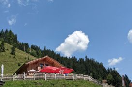 Salzburger Sonnenterrasse Goldegg