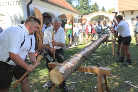 Kichberger Oldtimerfreunde (15)