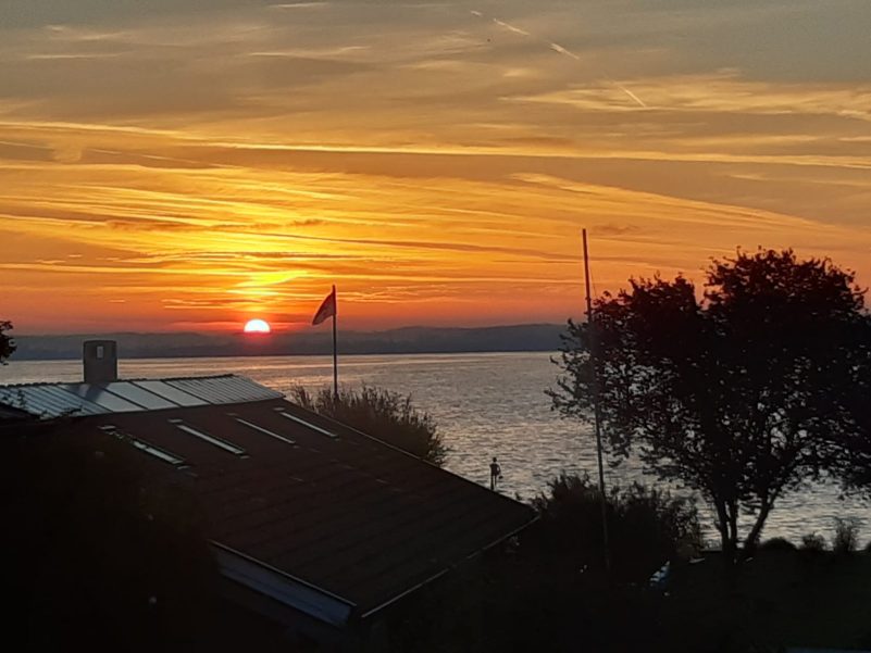 Morgenstimmung 25.8. Paul Panzer