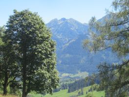 auf der Salzburger Sonnenterrasse