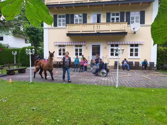 TnT Heim Handicap (1)