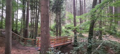 Wanderweg der Sinne (2)