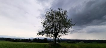 Wanderweg der Sinne (5)