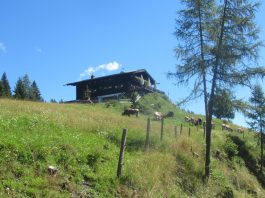 auf der Salzburger Sonnenterrasse