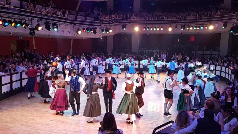 festring interview 4