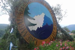 kl-DSC08908 - Kopie (2)