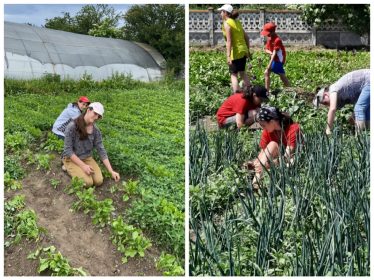 rumaenienhilfe dobreni (1)