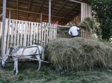 rumaenienhilfe dobreni (2)