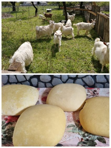 rumaenienhilfe dobreni (3)