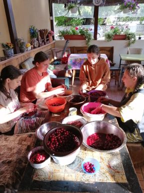 rumaenienhilfe dobreni (5)