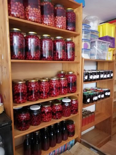 rumaenienhilfe dobreni (6)